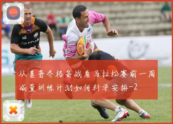 从基普乔格备战看马拉松赛前一周减量训练计划如何科学安排