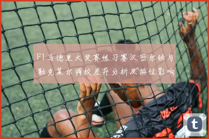 F1马德里大奖赛练习赛汉密尔顿与勒克莱尔调校差异分析及排位影响