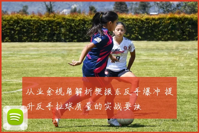 从业余视角解析樊振东反手爆冲 提升反手拉球质量的实战要诀