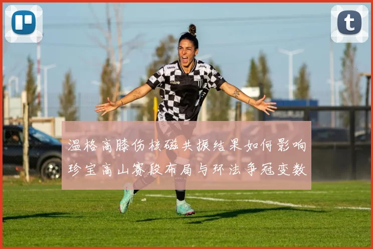 温格高膝伤核磁共振结果如何影响珍宝高山赛段布局与环法争冠变数