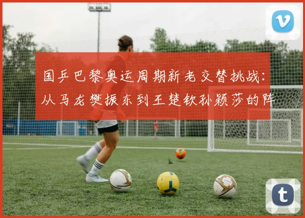 国乒巴黎奥运周期新老交替挑战：从马龙樊振东到王楚钦孙颖莎的阵容演变分析
