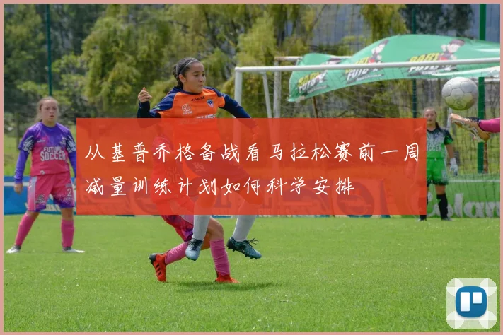 从基普乔格备战看马拉松赛前一周减量训练计划如何科学安排